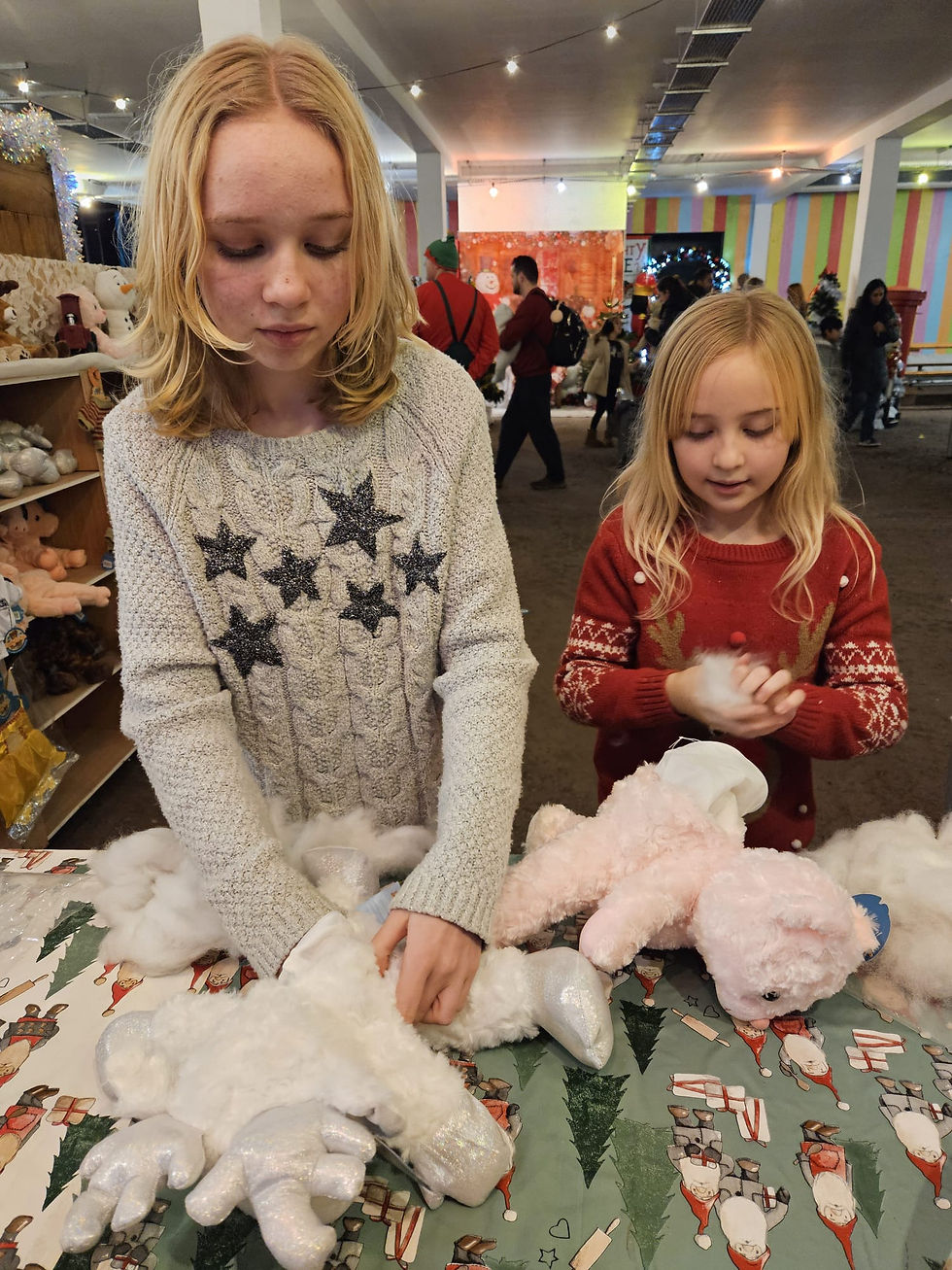 Jingleville at Lower Drayton Farm - Staffordshire