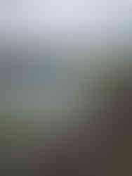 Knypersley Reservoir