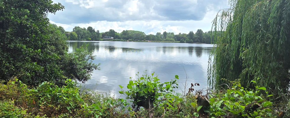 Westport Lake