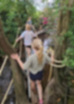 The Crocky Trail review