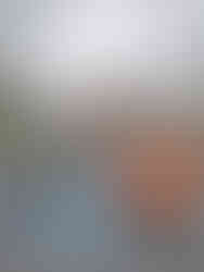 Chessington World of Adventure 