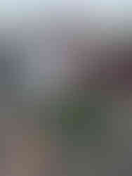 Crewe Heritage Centre