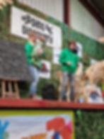 Animal talks at Lower Drayton Farm