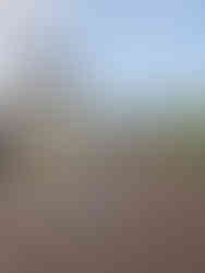 Children's playground