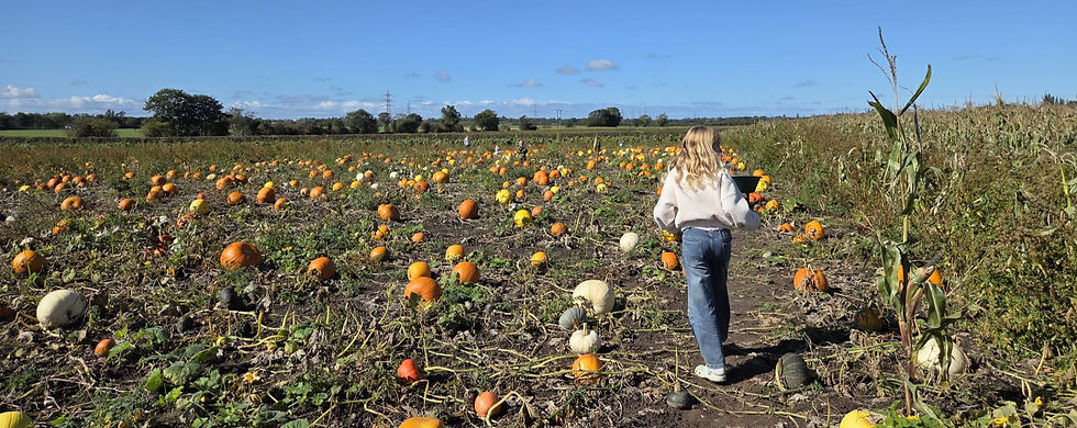 Pumpkin Picking at The Hayloft