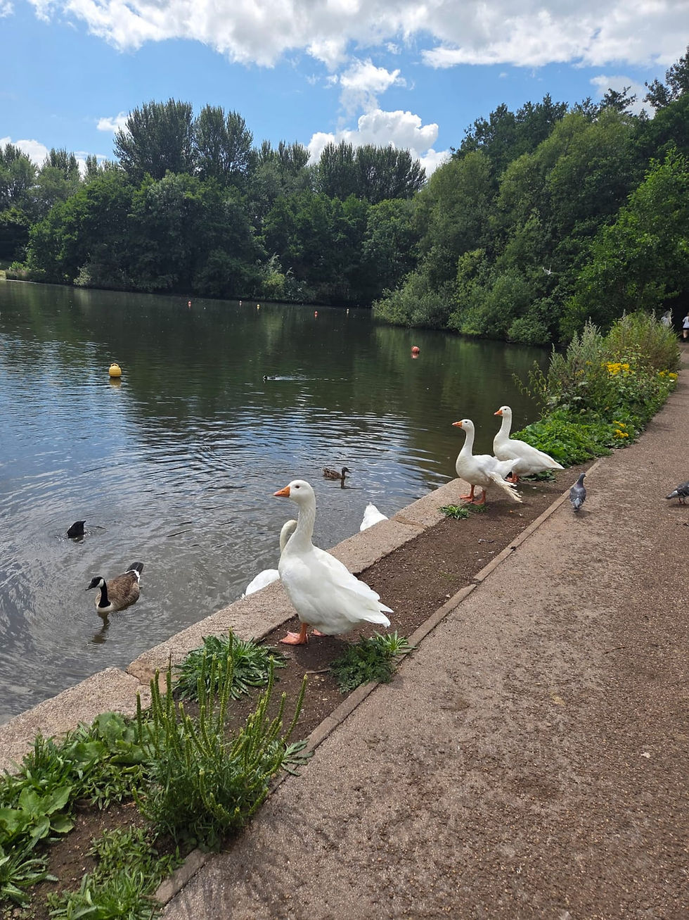 Westport Lake Walking Path