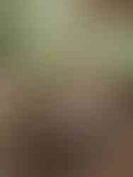 Frozen Voyage Escape Island