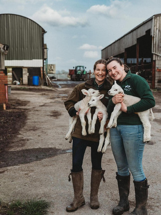 Meet the Lambs at Bates Farm