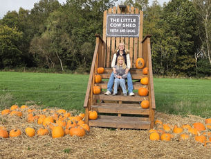 Pumpkin Picking at The Little/Creepy Cow Shed