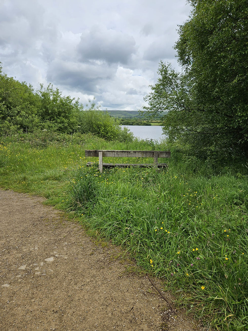 Tittesworth Reservoir Family walk with playground and cafe near Leek