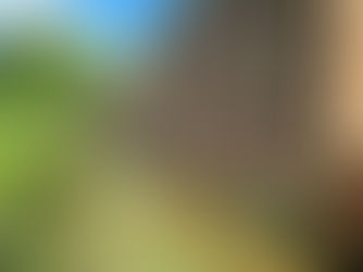 Quarry Bank Mill - National Trust