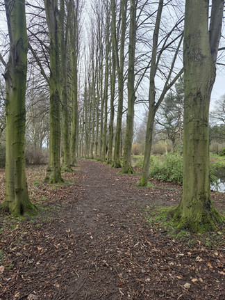 The Lovell Quinta Arboretum Walk