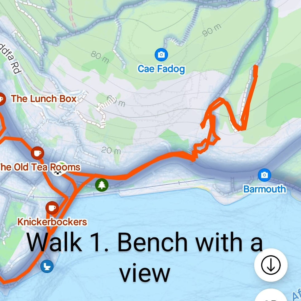 My Guide to Walks in Barmouth, Wales