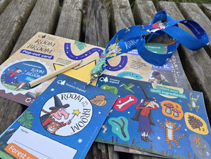 Room on the Broom Trail - Delamere Forest