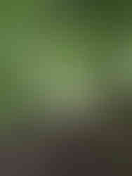 Knypersley Reservoir