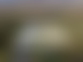 My Guide to Family Friendly Walks in Cheshire