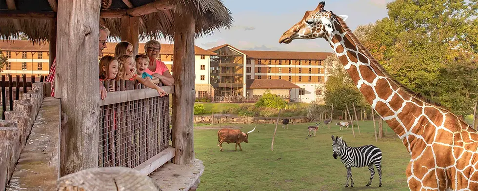 The Safari & Azteca Hotel at Chessington World of Adventures