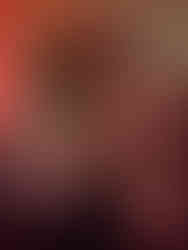 Tatton Park Mansion at Christmas