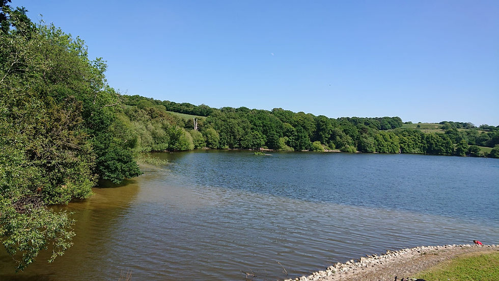 Knypersley Reservoir Walk