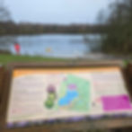 Brereton Heath Local Nature Reserve Family walk Cheshire 