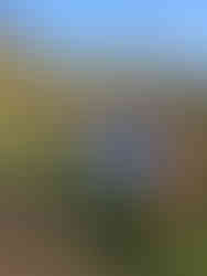 Brereton Heath Nature Reserve