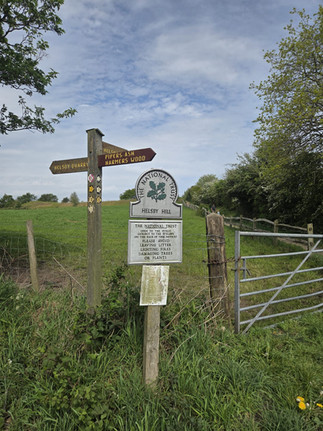 Helsby Hill Walk