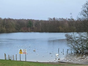 Brereton Heath Local Nature Reserve