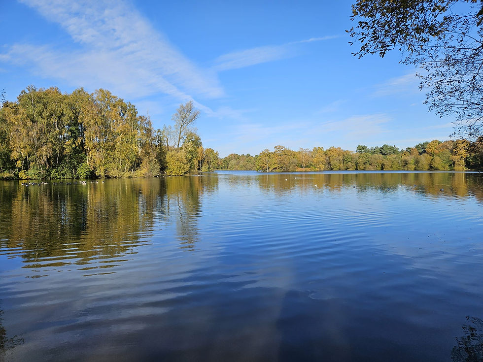 Shakerley Mere Walk