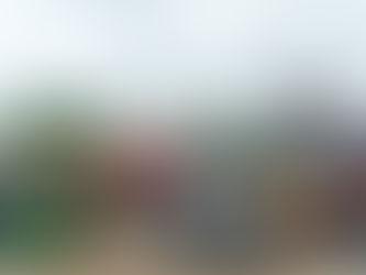 US Container Imports Showing Signs of Pre-COVID Peak Season Pattern