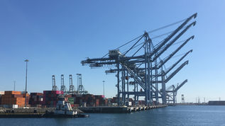 Southern California Ports Surge as Shippers Move Cargo Early