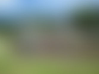 代かきを行いました(5年生)