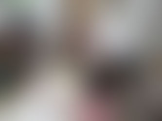 フロリアンガデンさんと生き物マップを作りました(1・2年生)