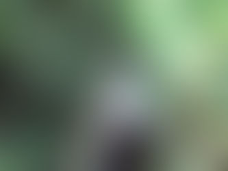 塩の道遠足に行ってきました(5・6年生)