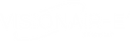 VISIONAIRE Logo