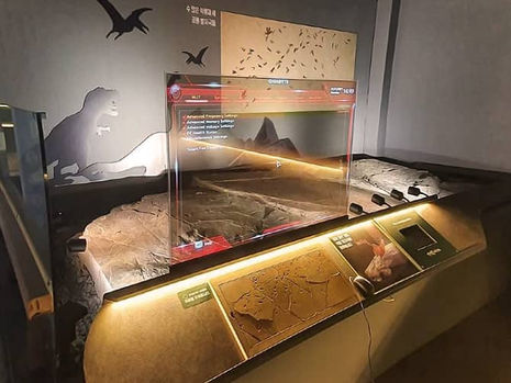 Why Every Museum Should Embrace Digital Signage