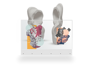 transparent OLED.png