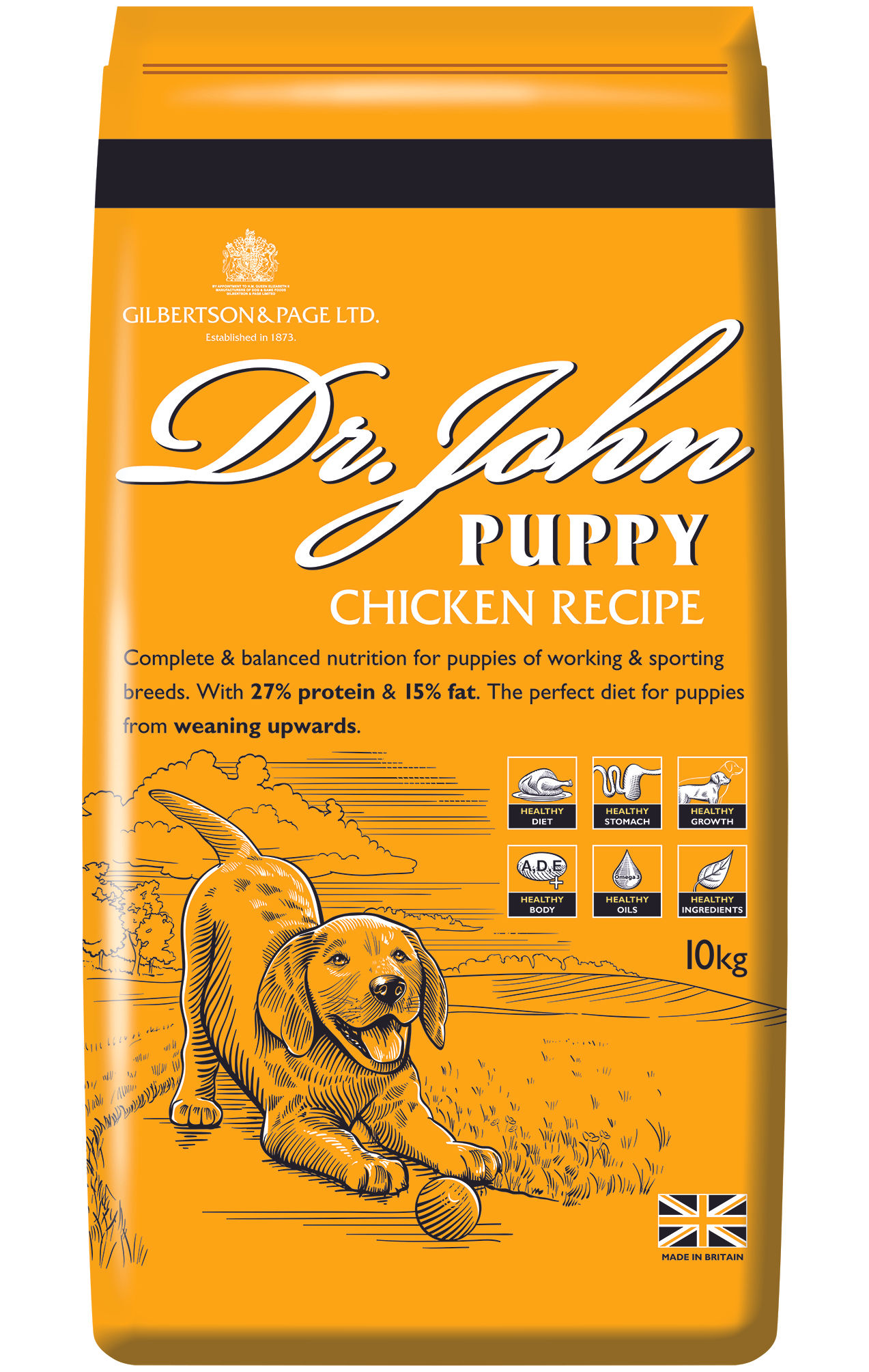 Dr John Puppy