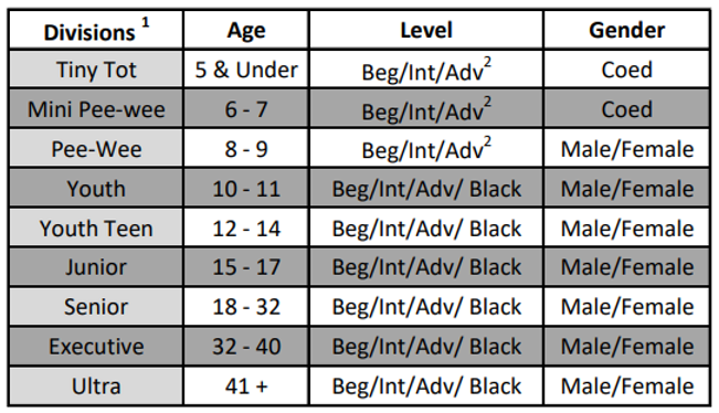 divisions image.webp