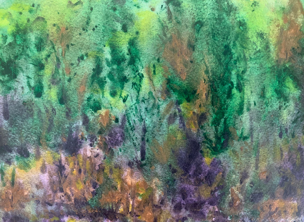 Dark Forest
8"L x 6"H