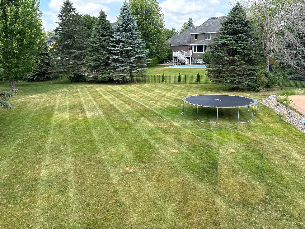 removal mower .png
