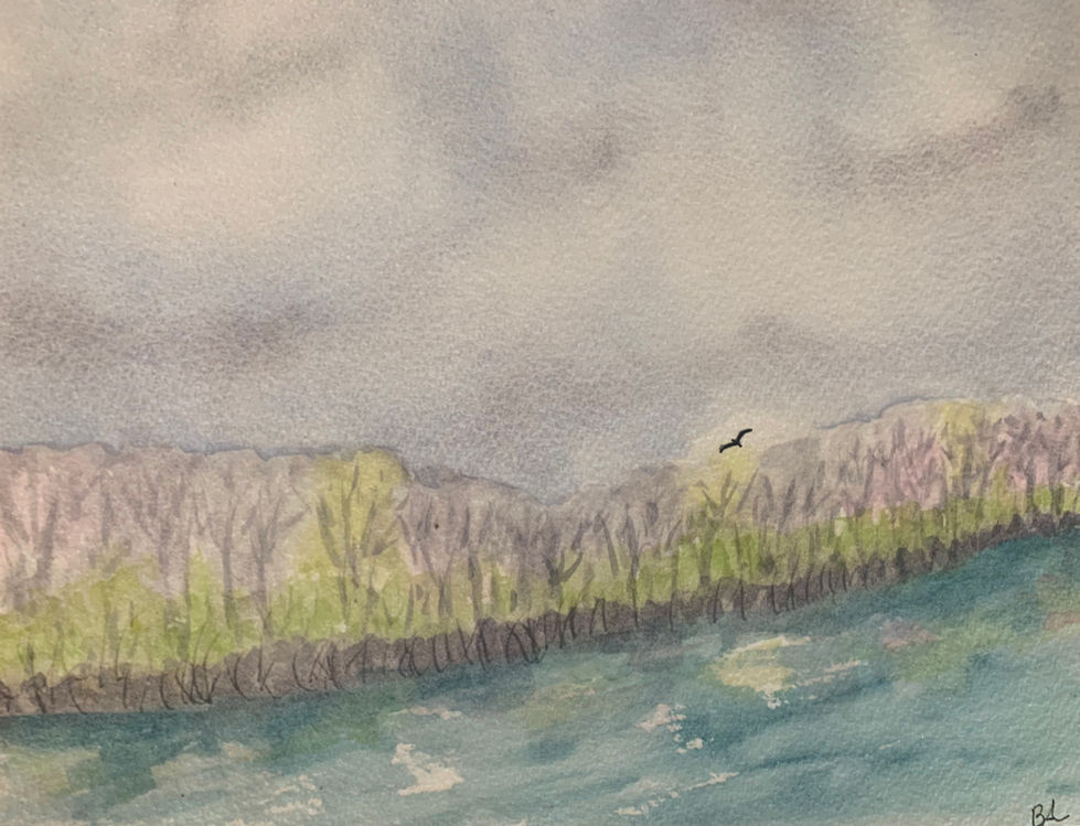 Spring on Palmer Cove
10"L x8"H