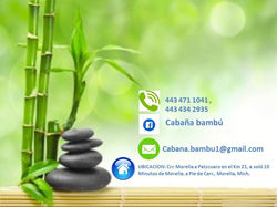 Diapositiva4