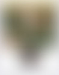 The Future of Farmland — Boone, Story & Dallas Counties