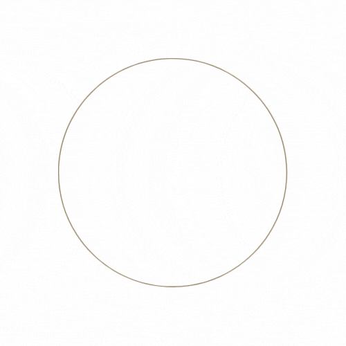 Letters Only _ Chatbox Seal.gif