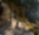 Pre-Visualization