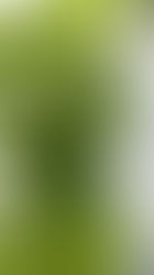 cassisの成長記録3