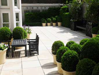 Garden Maintenance London