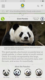 image-asset (3).jpeg