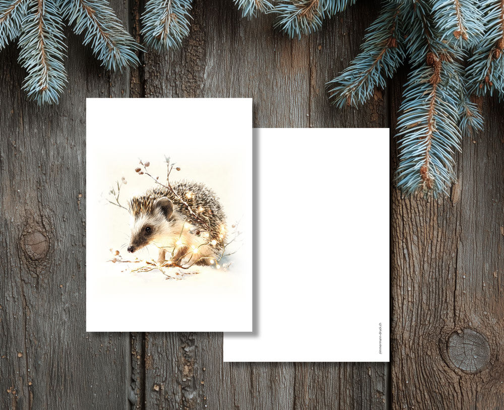 Grusskarte A6 "Igel Loris" schöne Grusskarte für Winter und Wei