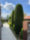Schnelli Gartenbau Unterhalt